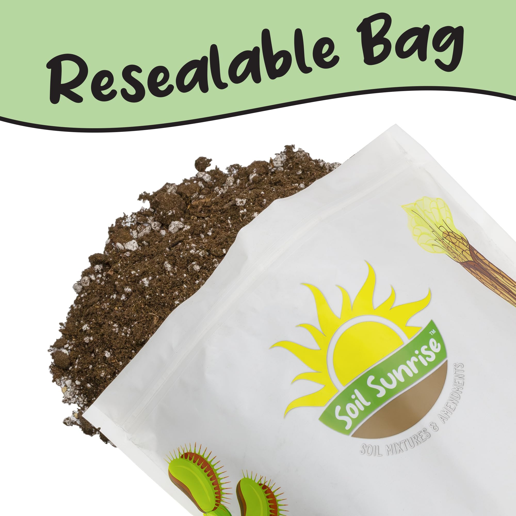 Soil Sunrise Olive Tree Potting Soil Mix balcony olive tree in container