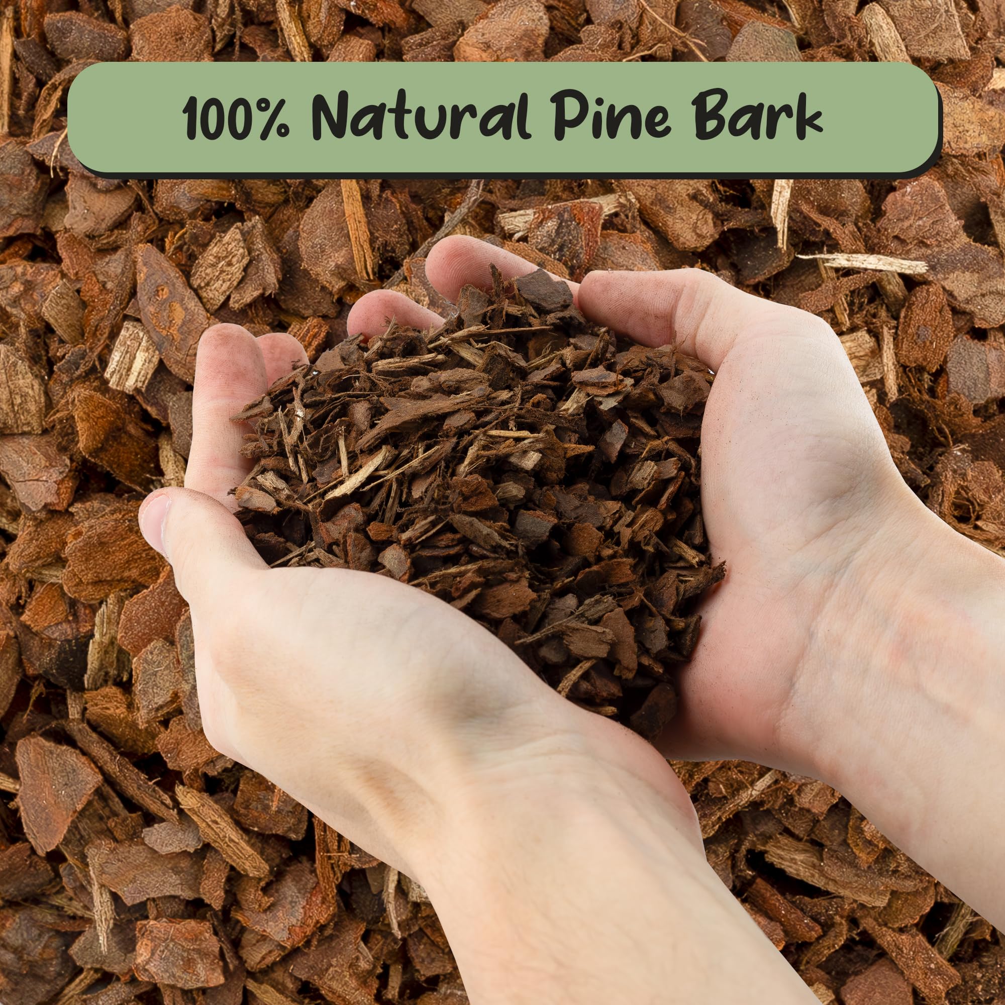 Soil Sunrise Orchid Bark for indoor orchids supports quick drainage in containers.