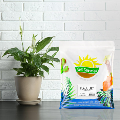 Soil Sunrise peat moss and bark blend image promoting moisture retention.