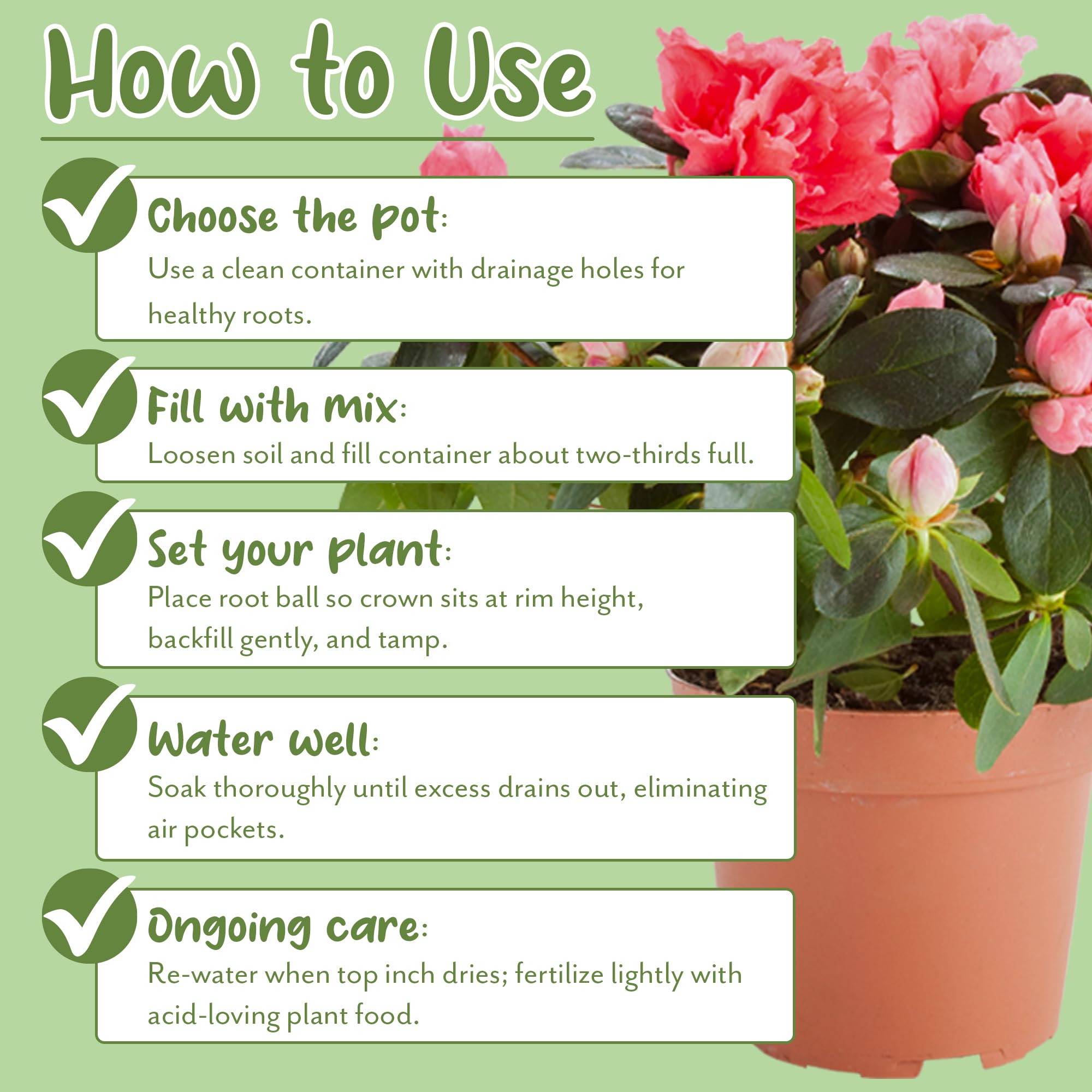 Soil Sunrise peat moss mix retains moisture for growth
