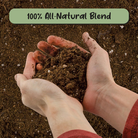 Soil Sunrise perlite and lime texture highlighting root aeration.