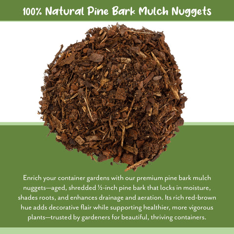 Soil Sunrise pine bark mulch nuggets in terrarium topping for natural look and moisture help.