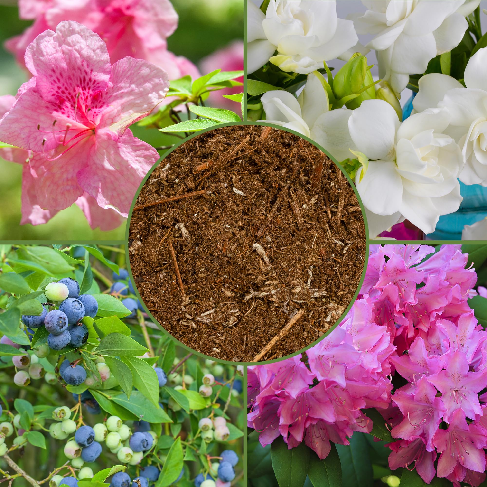 Soil Sunrise pine bark mulch texture supports root growth