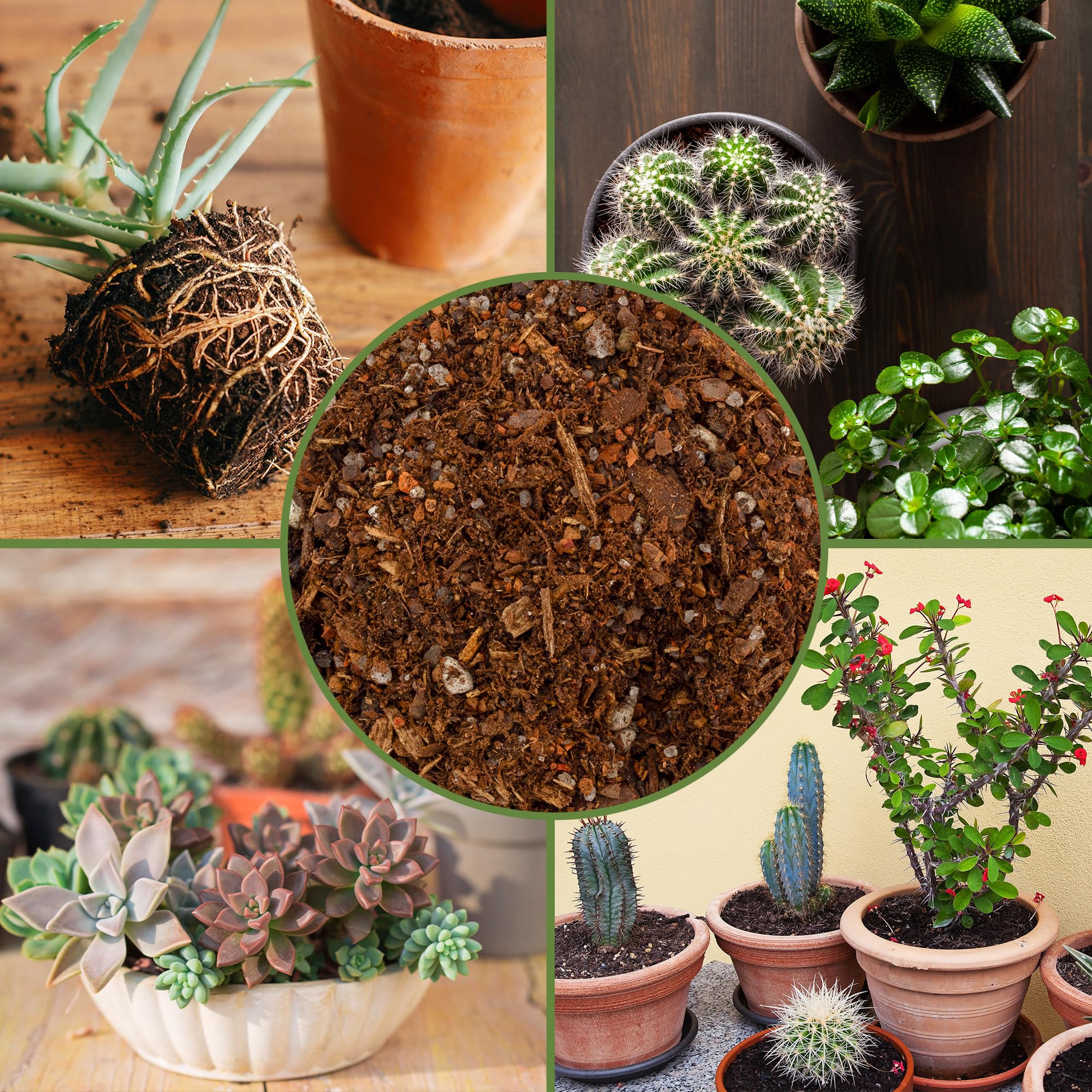 Soil Sunrise pine bark and sand components highlighted for natural drainage