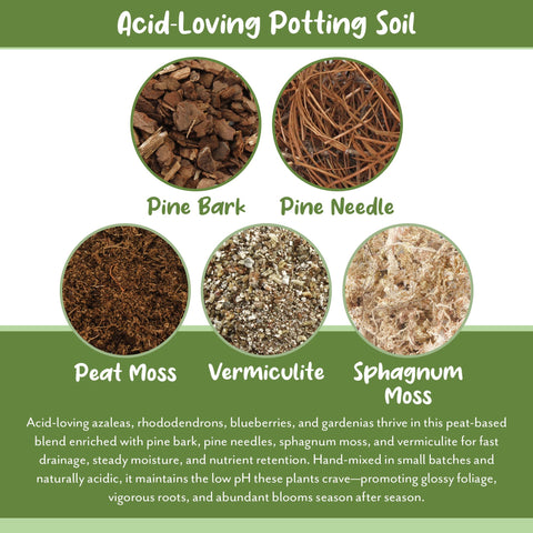 Soil Sunrise pine needles boost natural acidity for acid lovers