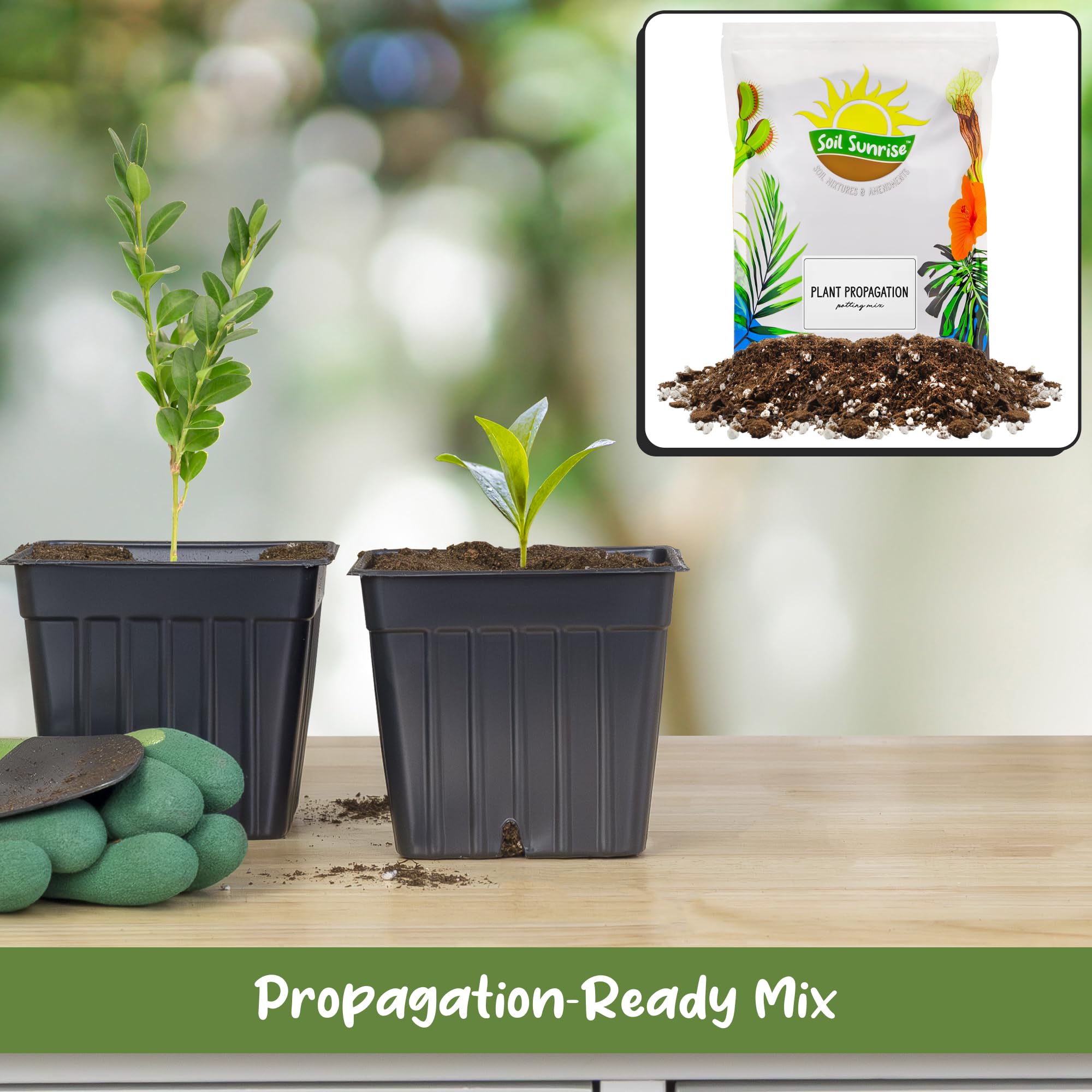 Soil Sunrise Propagation Mix peat closeup highlights moisture retention for steady growth.
