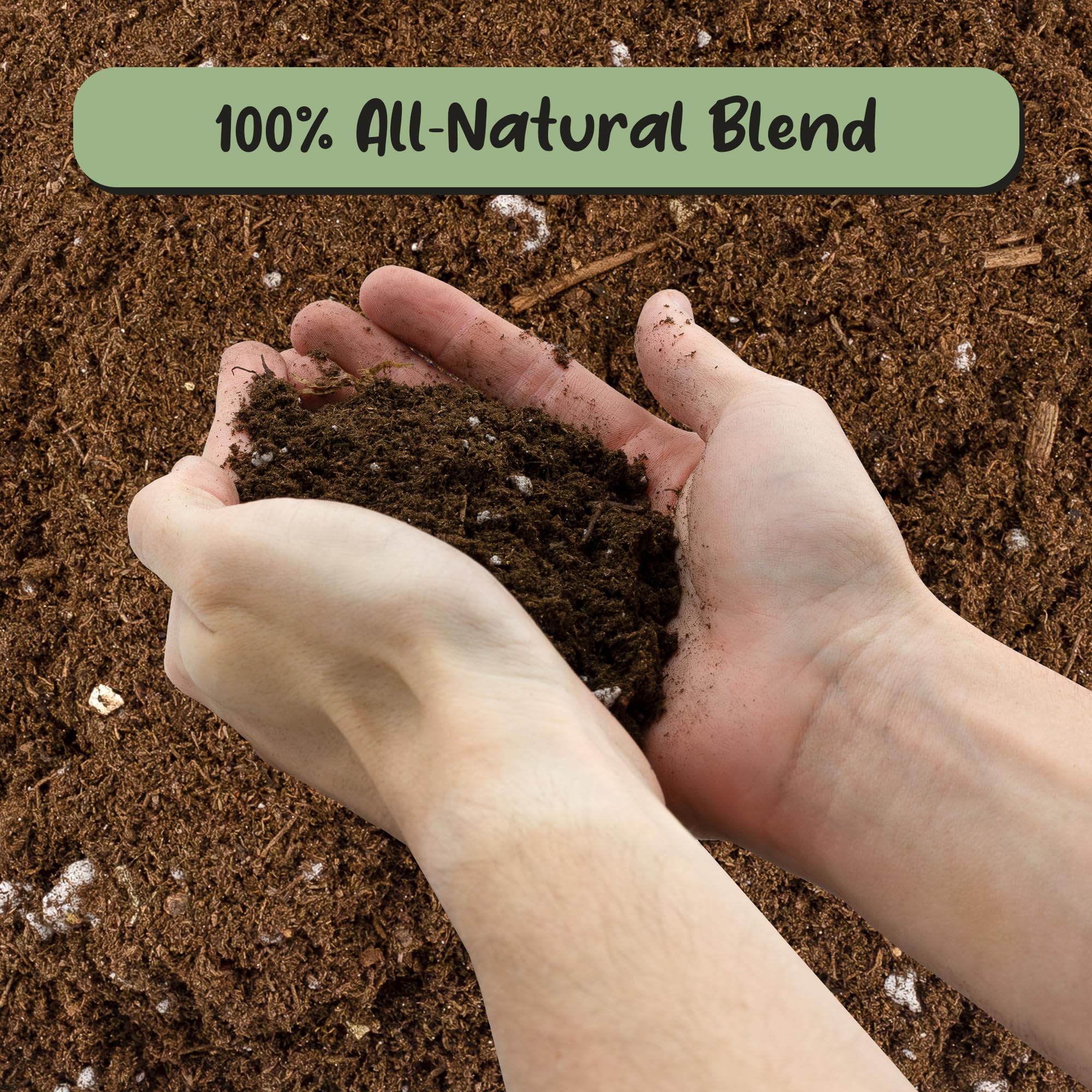Soil Sunrise Propagation Mix texture closeup reveals airy, crumbly soil ideal for rooting.