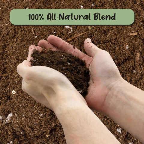 Soil Sunrise Propagation Mix texture closeup reveals airy, crumbly soil ideal for rooting.