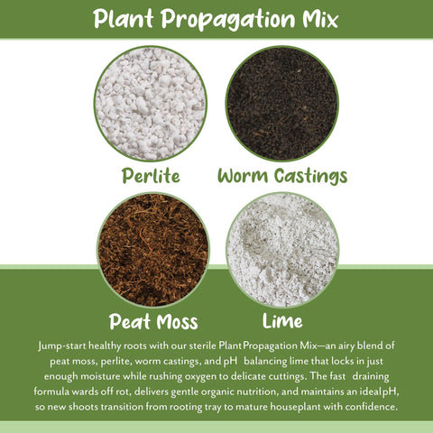 Soil Sunrise Propagation Mix in-use closeup showing lime and worm castings balance.