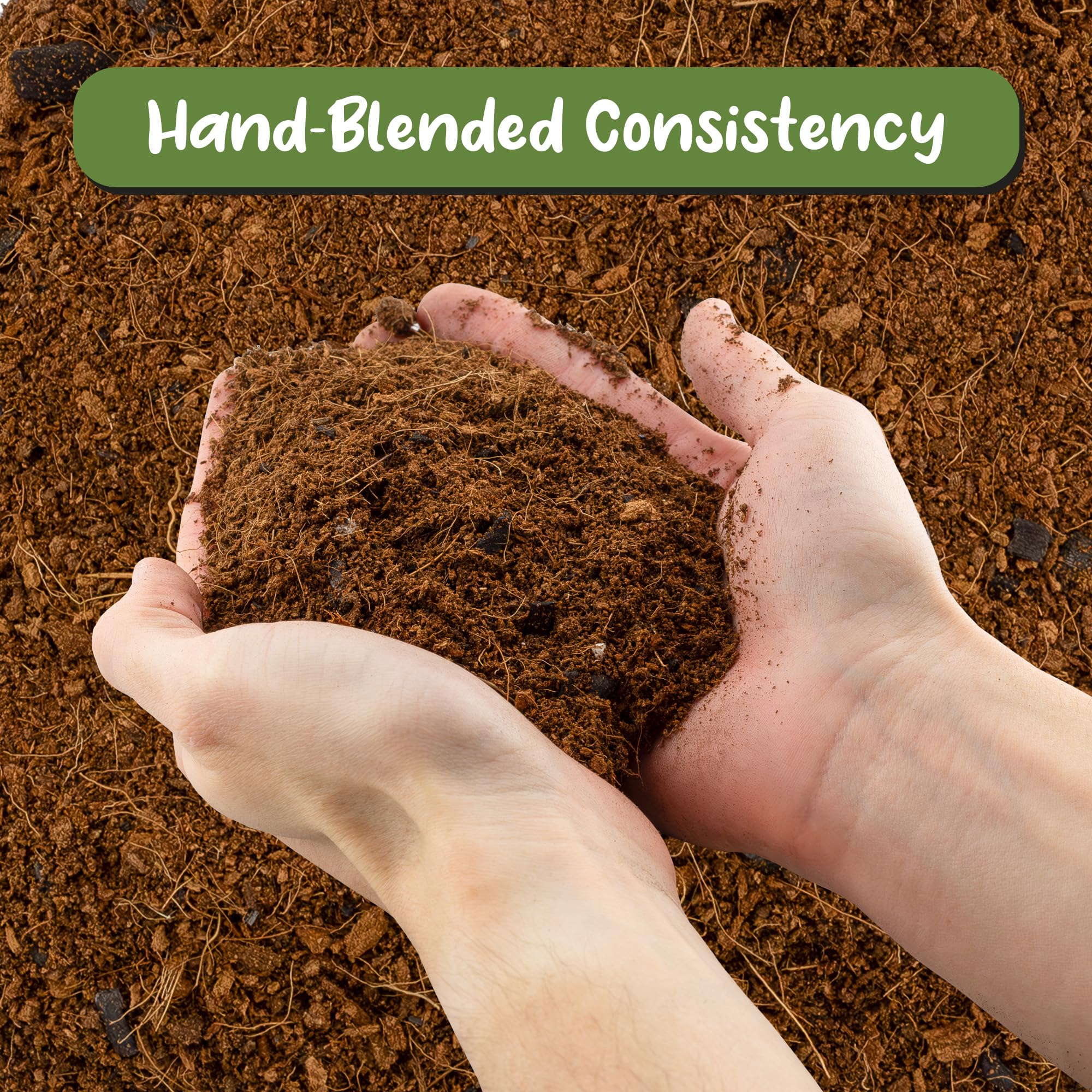 Soil Sunrise pumice grains provide airy texture for airflow and water retention.