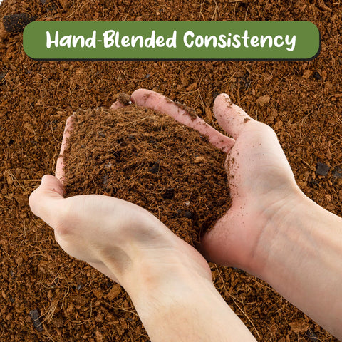 Soil Sunrise pumice grains provide airy texture for airflow and water retention.