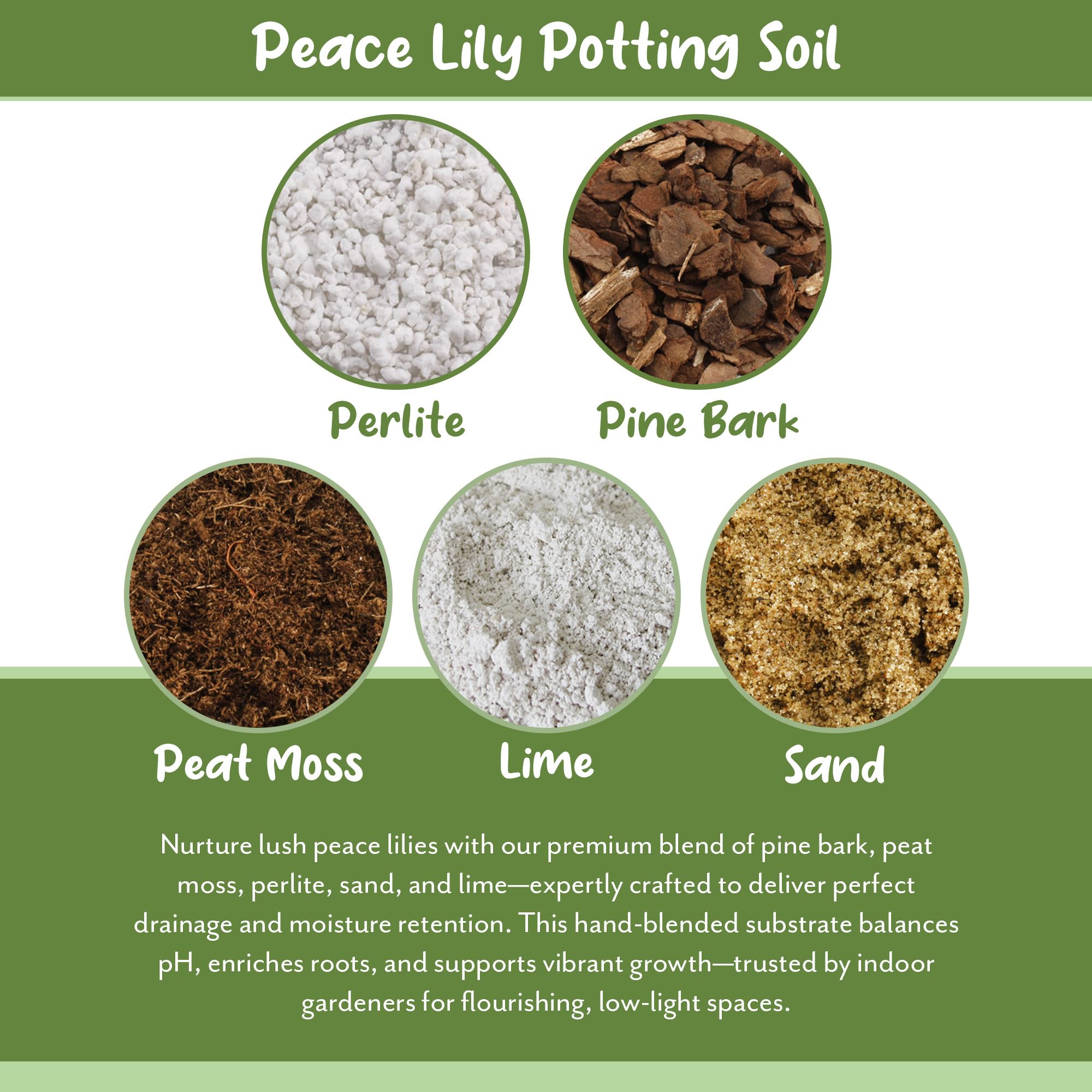 Soil Sunrise ready-to-pot Peace Lily scene supports indoor gardening.
