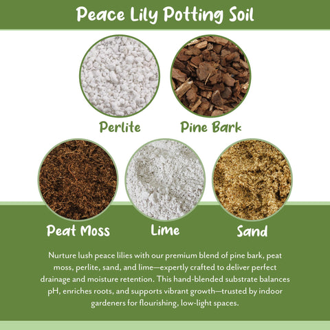 Soil Sunrise ready-to-pot Peace Lily scene supports indoor gardening.