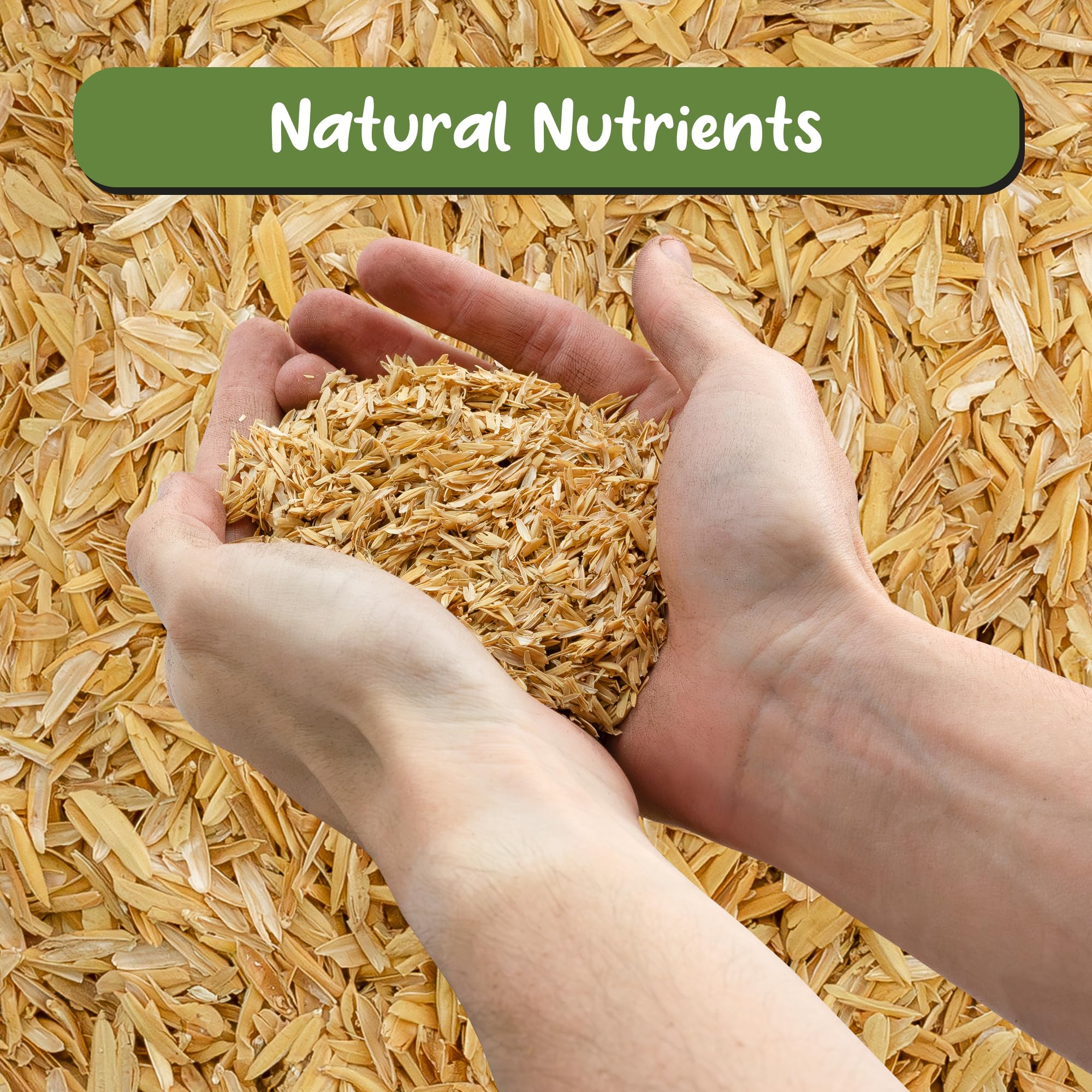 Soil Sunrise organic rice hulls used as soil conditioner for healthier roots.