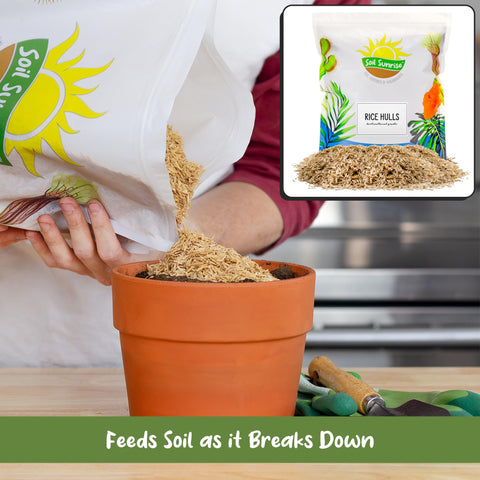 Soil Sunrise rice hulls 8 qt top dressing for potted plants improves drainage.