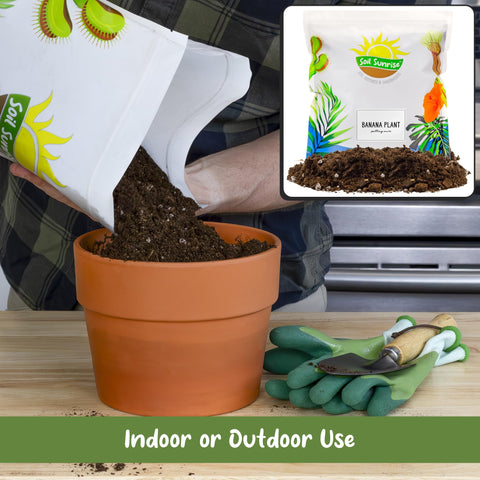 Soil Sunrise root aeration in the mix promotes strong banana roots.