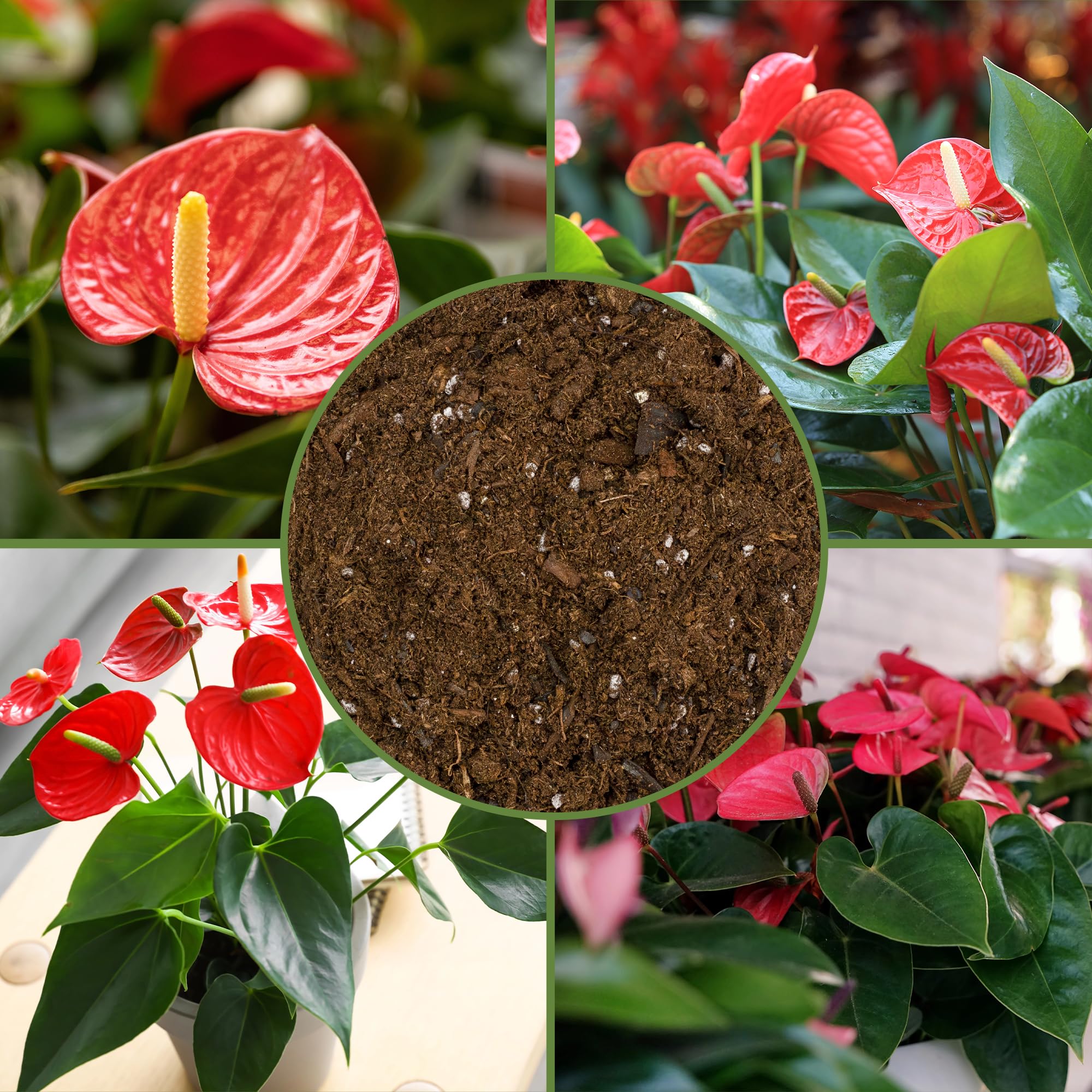 Soil Sunrise soil mixing process photo highlights hands preparing medium.