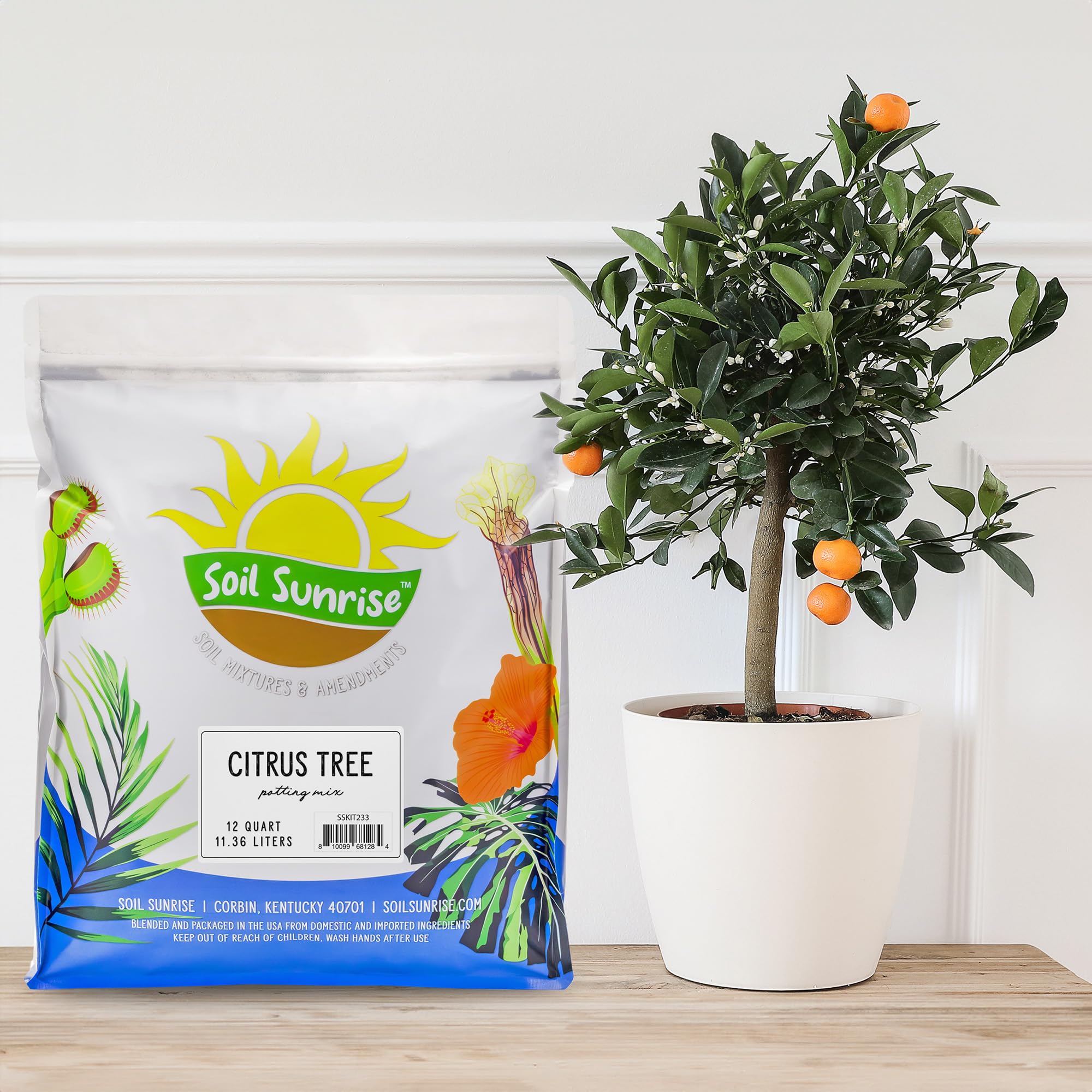 Soil Sunrise close-up texture showing airy, crumbly mix ideal for citrus root health