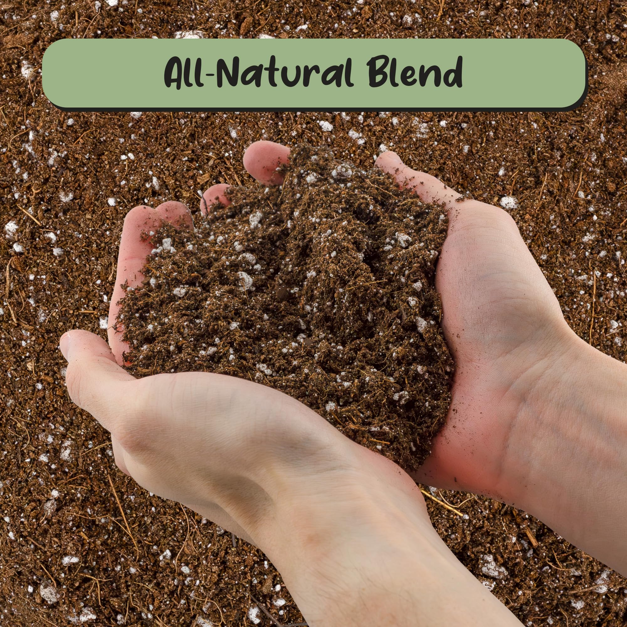 Soil Sunrise texture closeup highlights airy, well-draining fibers