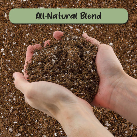 Soil Sunrise texture closeup highlights airy, well-draining fibers