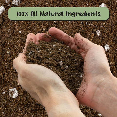 Soil Sunrise texture close-up of peat moss and perlite supports drainage and moisture balance