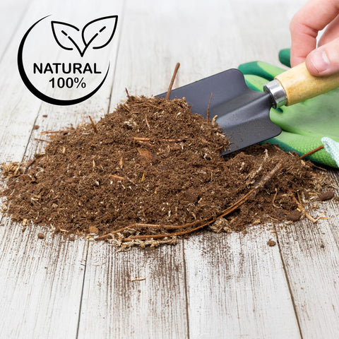 Soil Sunrise vermiculite improves nutrient uptake and moisture balance