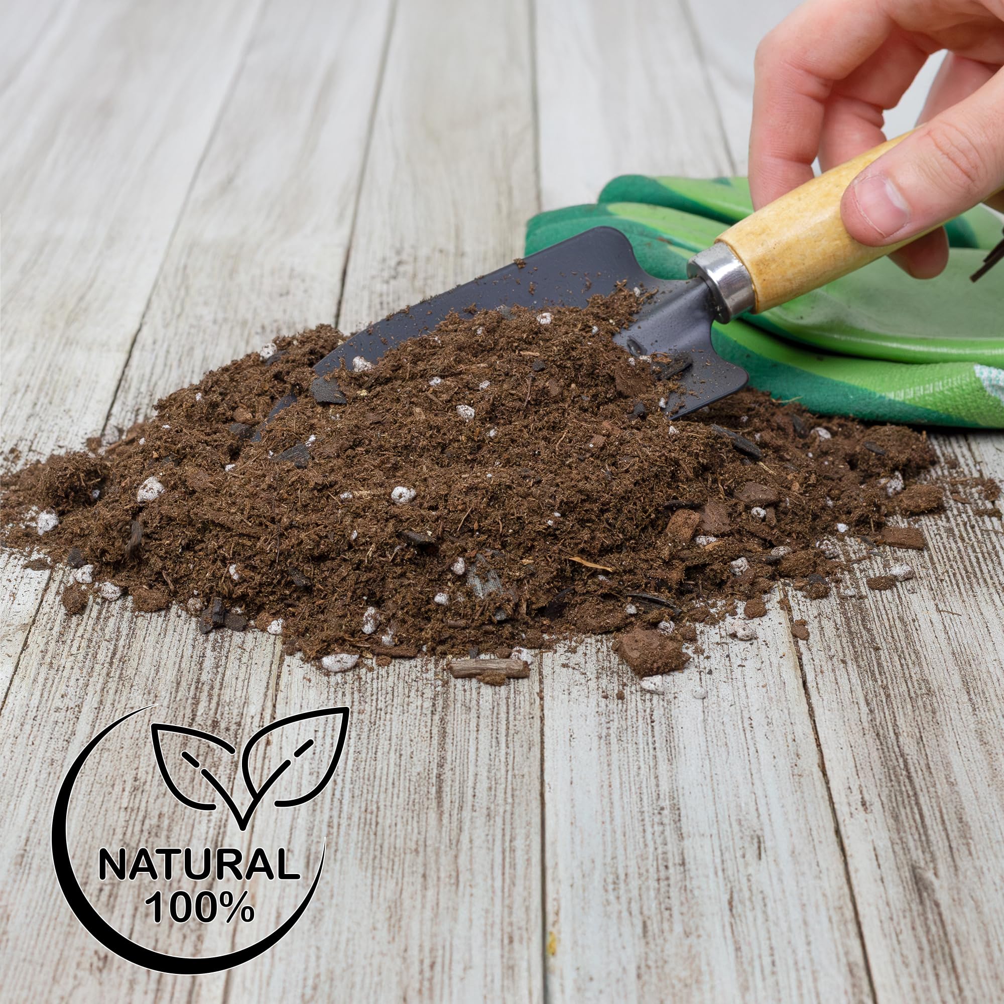 Soil Sunrise watering-ready mix supports healthy Anthurium growth.