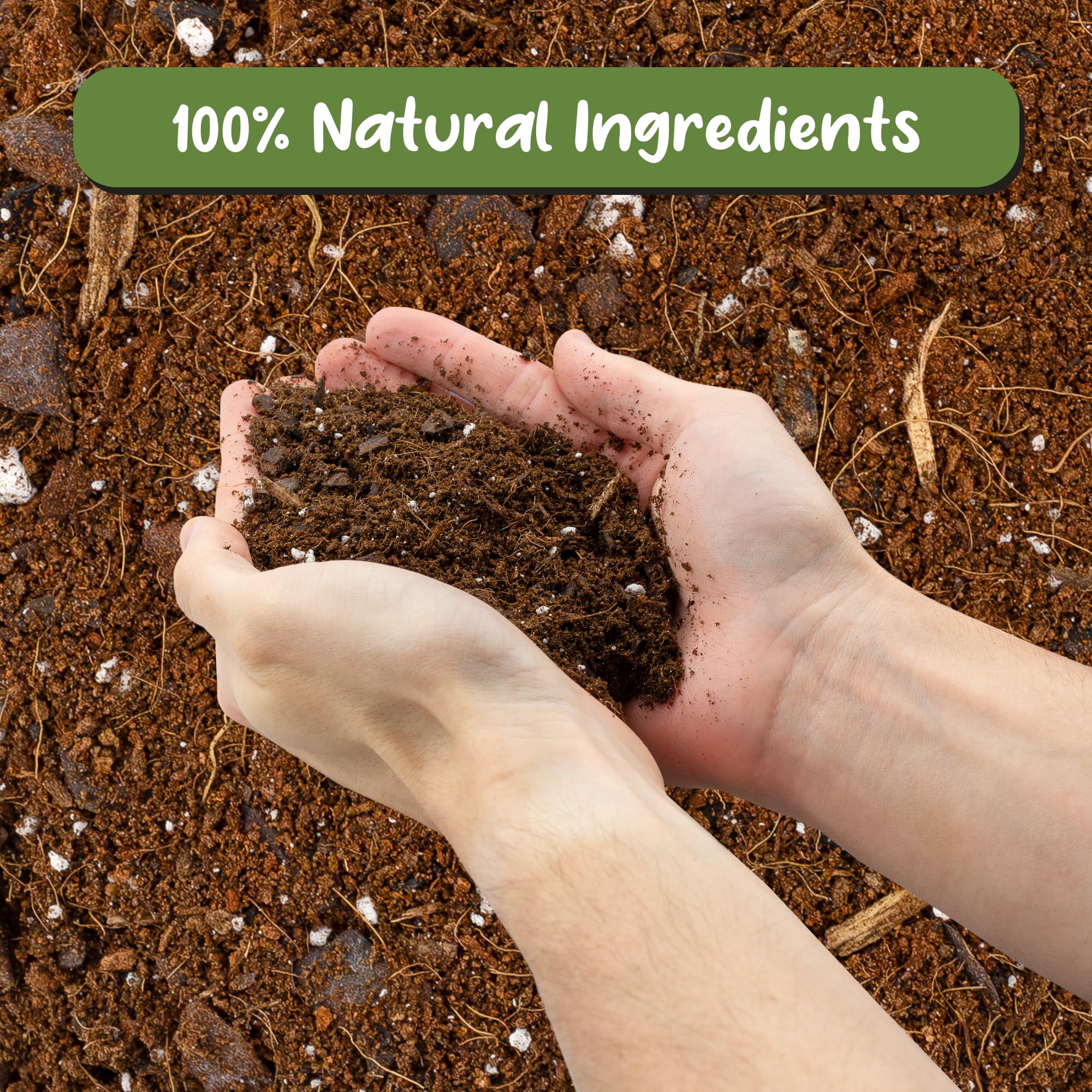Worm castings provide natural nutrients for healthy growth in Soil Sunrise