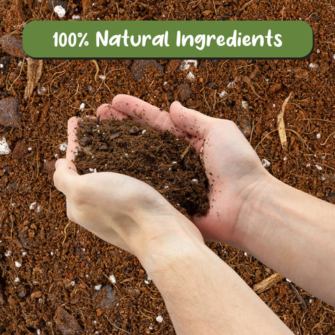 Worm castings provide natural nutrients for healthy growth in Soil Sunrise