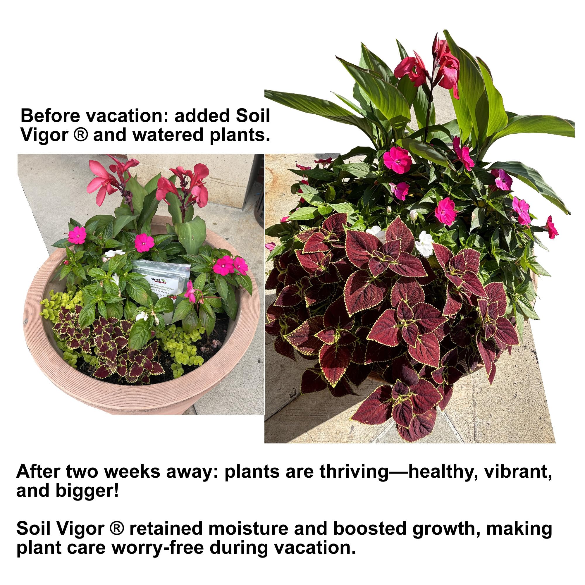 Soil Vigor application-scene bottle demonstrates easy crystal use in beds.