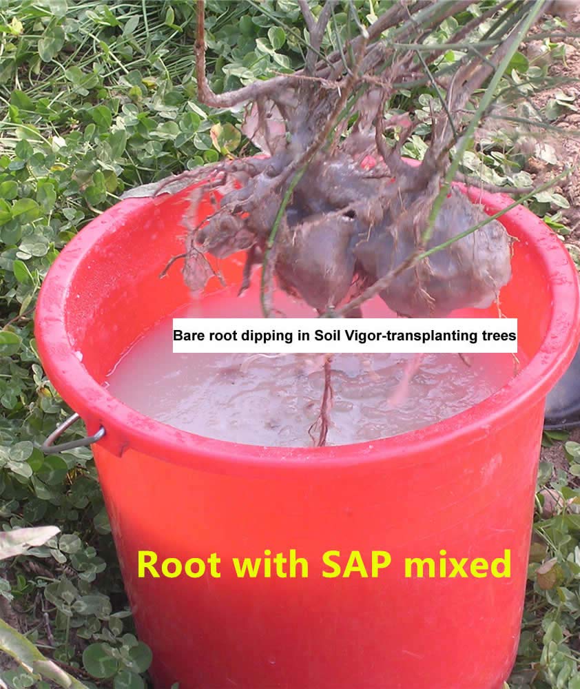 Soil Vigor packaging-label shows available sizes from 1 lb to 45 lb.