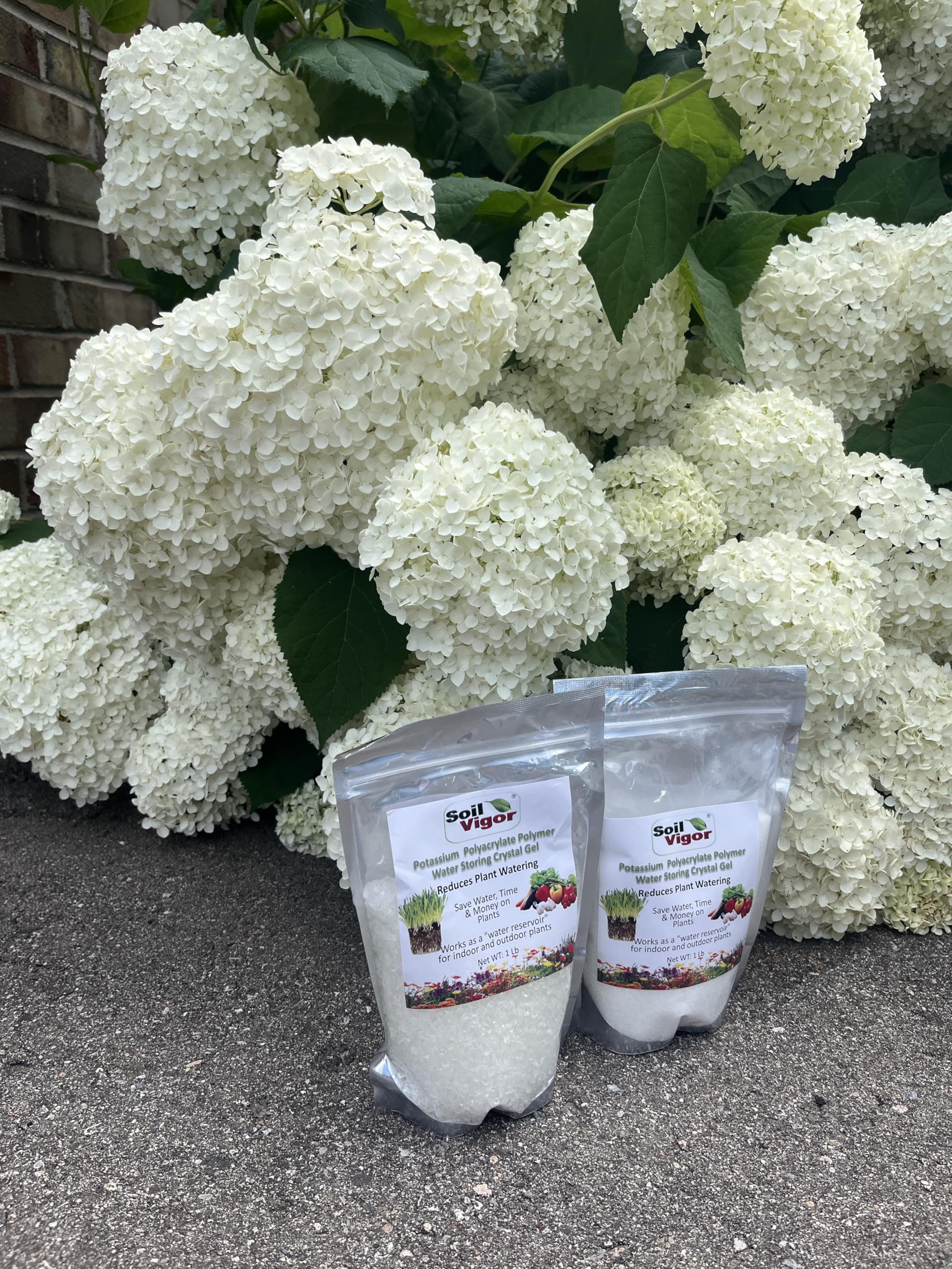 Soil Vigor premium-coverage shows up to 150 sq ft per pound.