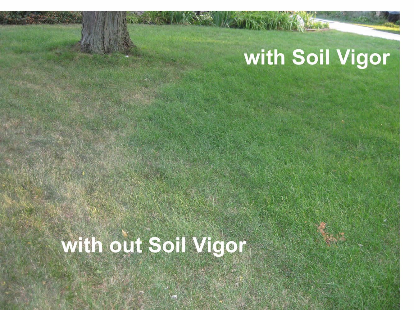Soil Vigor soil-aeration close-up highlights looser, airy root zones.