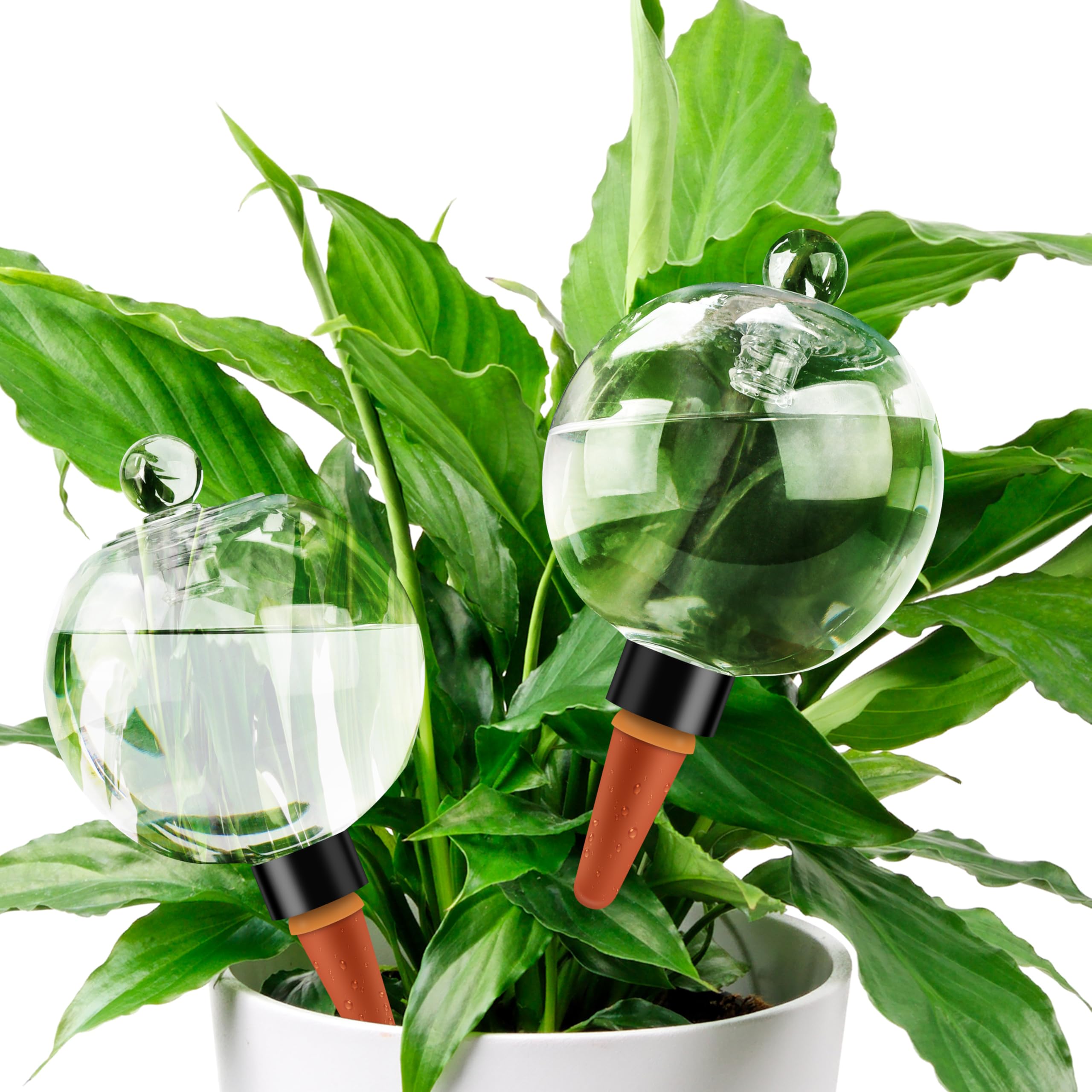 Soilagua 19oz self-watering globe with top fill for convenient, extended plant hydration