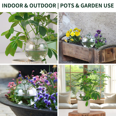 Soilagua 4-pack keeps plants hydrated while you're away