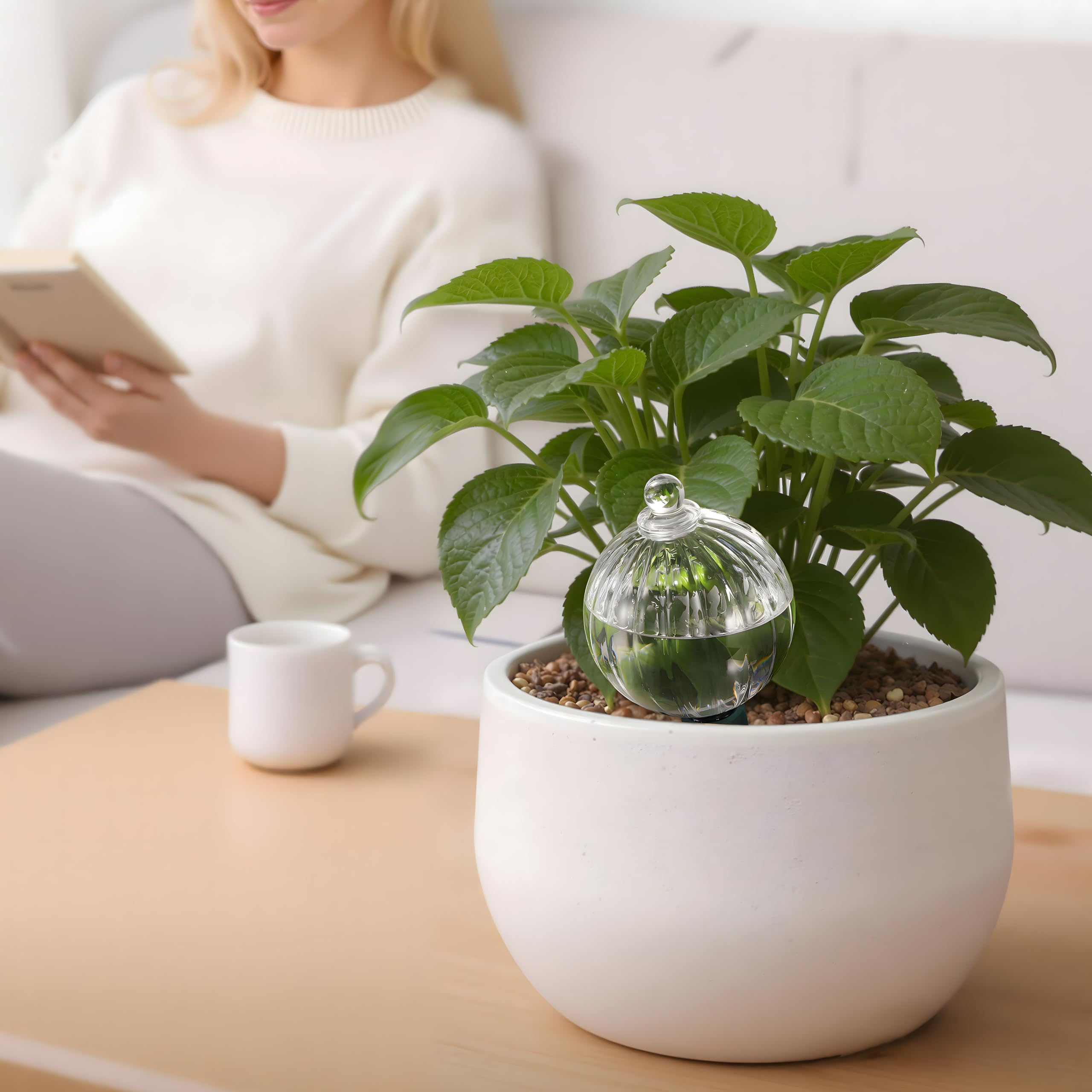 Soilagua clear glass globe shows water level for precise irrigation