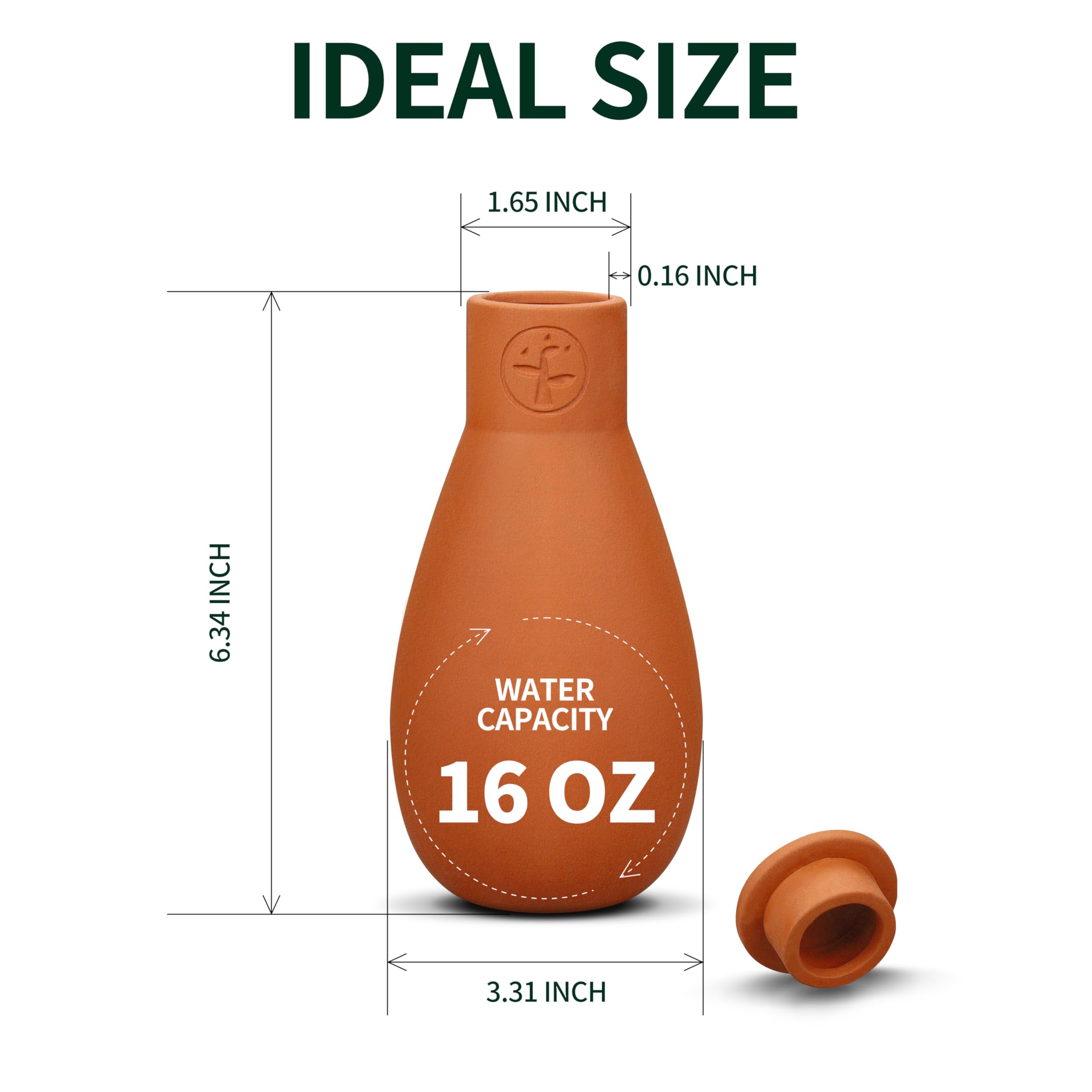 Soilagua drip irrigation olla near roots delivers consistent moisture for healthy growth.
