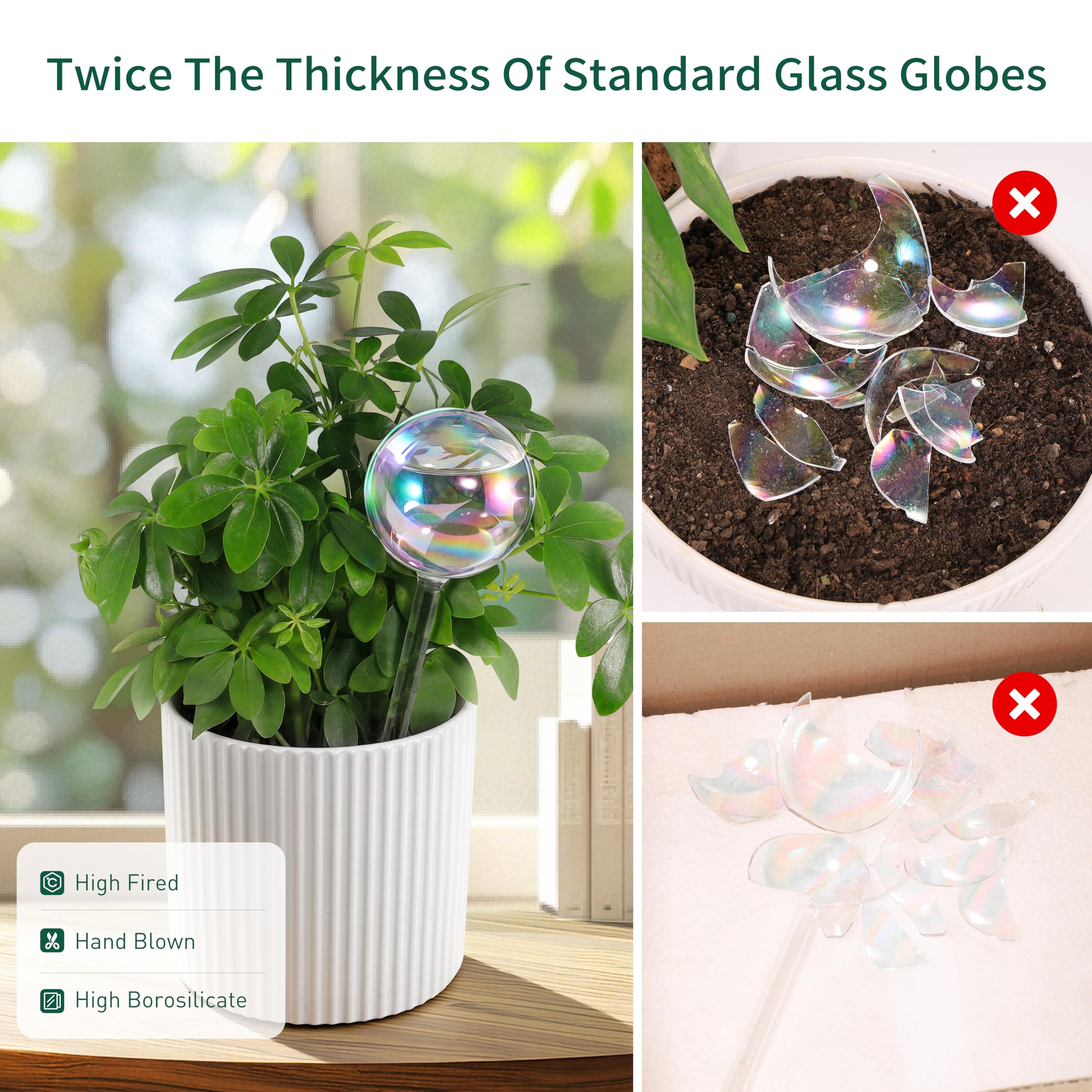 Soilagua extra-thick borosilicate-glass globe feels durable and premium