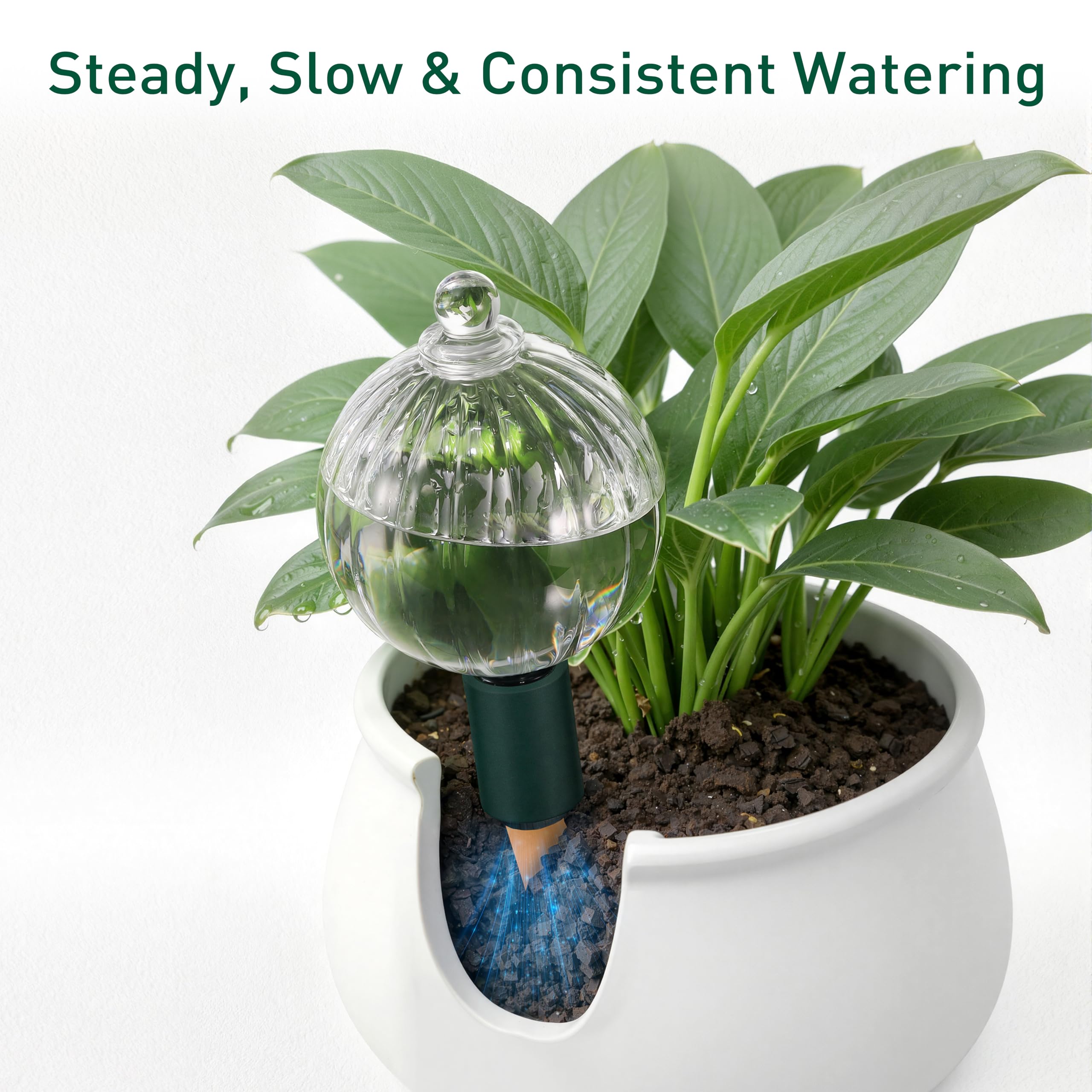 Soilagua indoor and outdoor use suitable for pots and patios