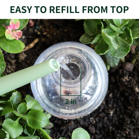 Soilagua waterer system for indoor and outdoor plants supporting healthy root growth