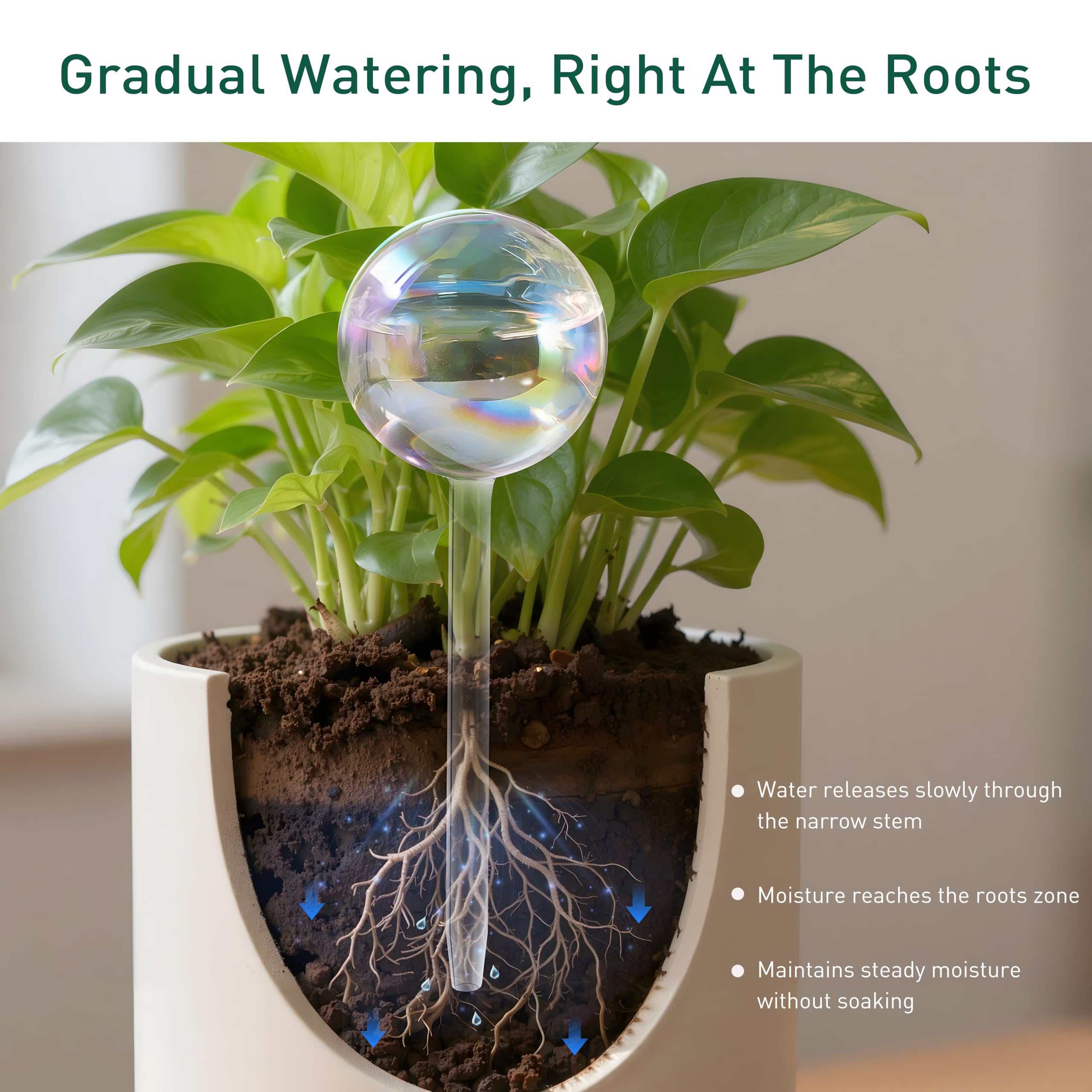 Soilagua iridescent globe sparkles when sunlight hits your pot.