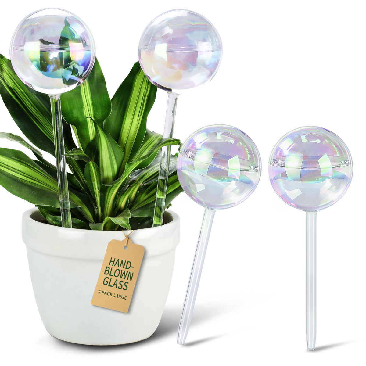 Soilagua rainbow glass watering globe shown casting iridescent light on a plant pot