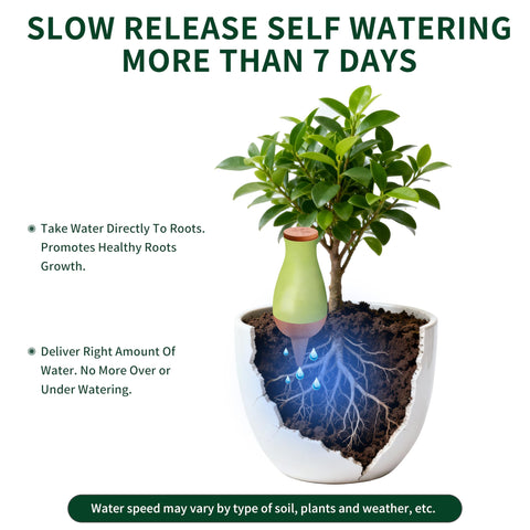 Soilagua olla pots watering devices deliver reliable root watering