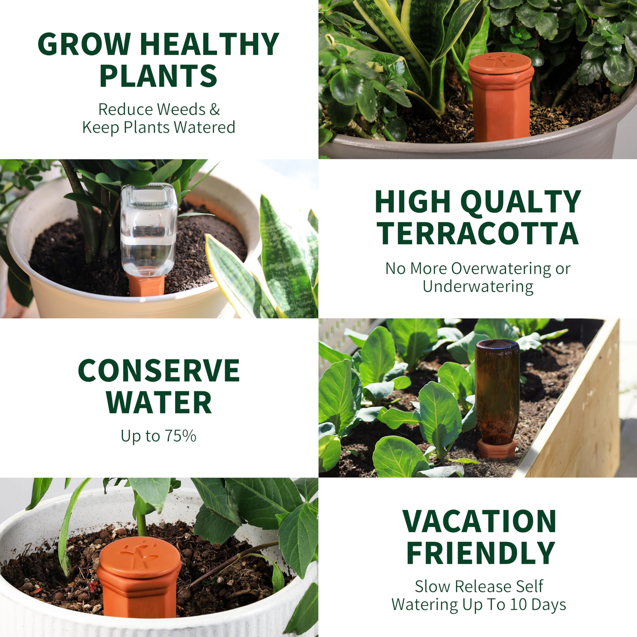 Soilagua pack-of-four spikes provides multiple plants with steady moisture