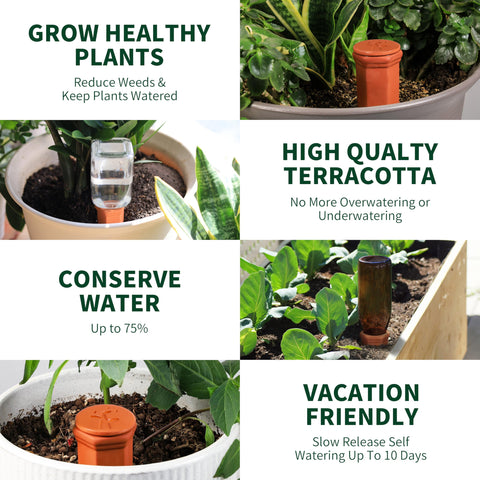Soilagua pack-of-four spikes provides multiple plants with steady moisture
