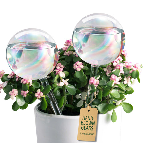 Soilagua rainbow-glass watering globe enhances decorative hydration for houseplants