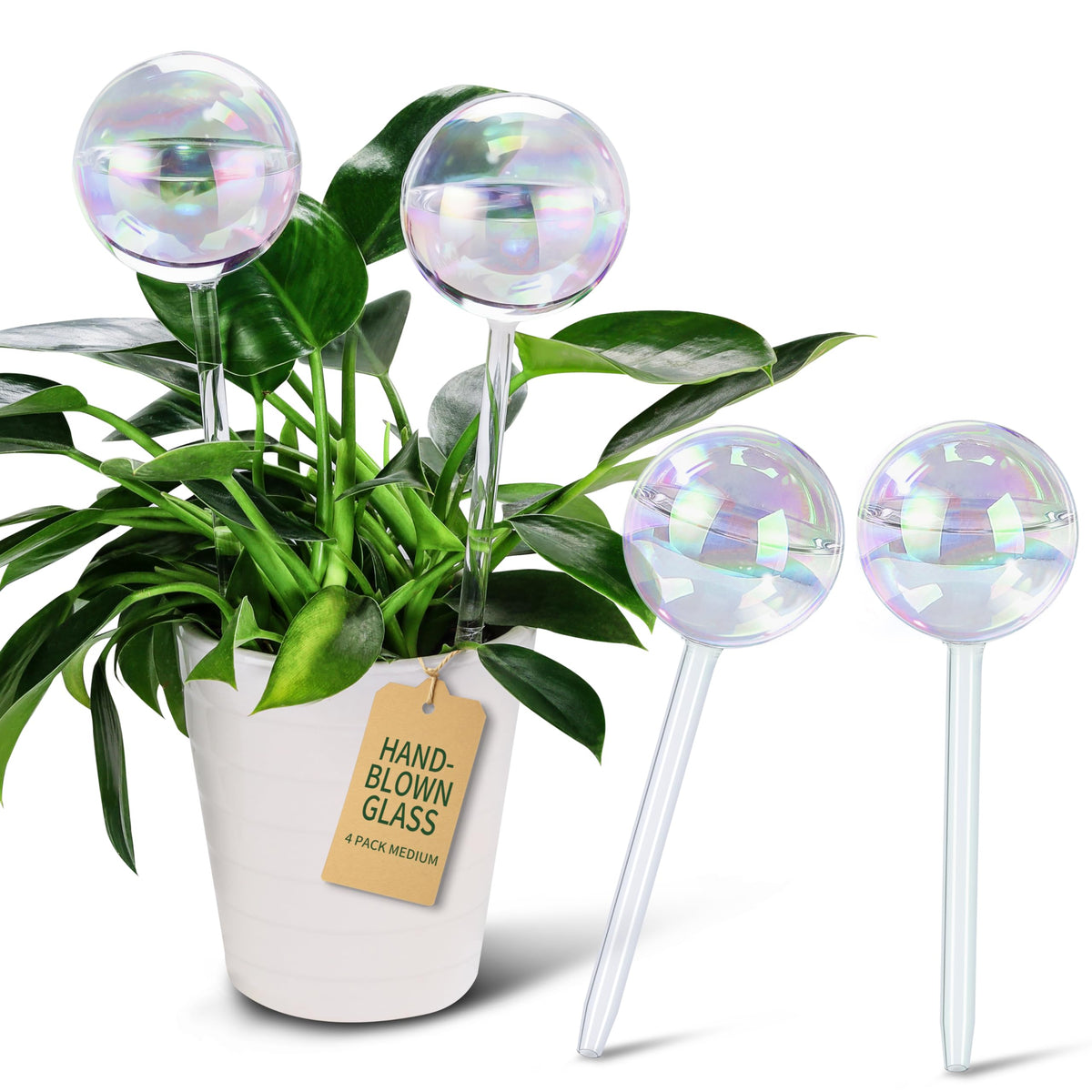 Soilagua rainbow gradient glass water globe glints in sun for steady root hydration