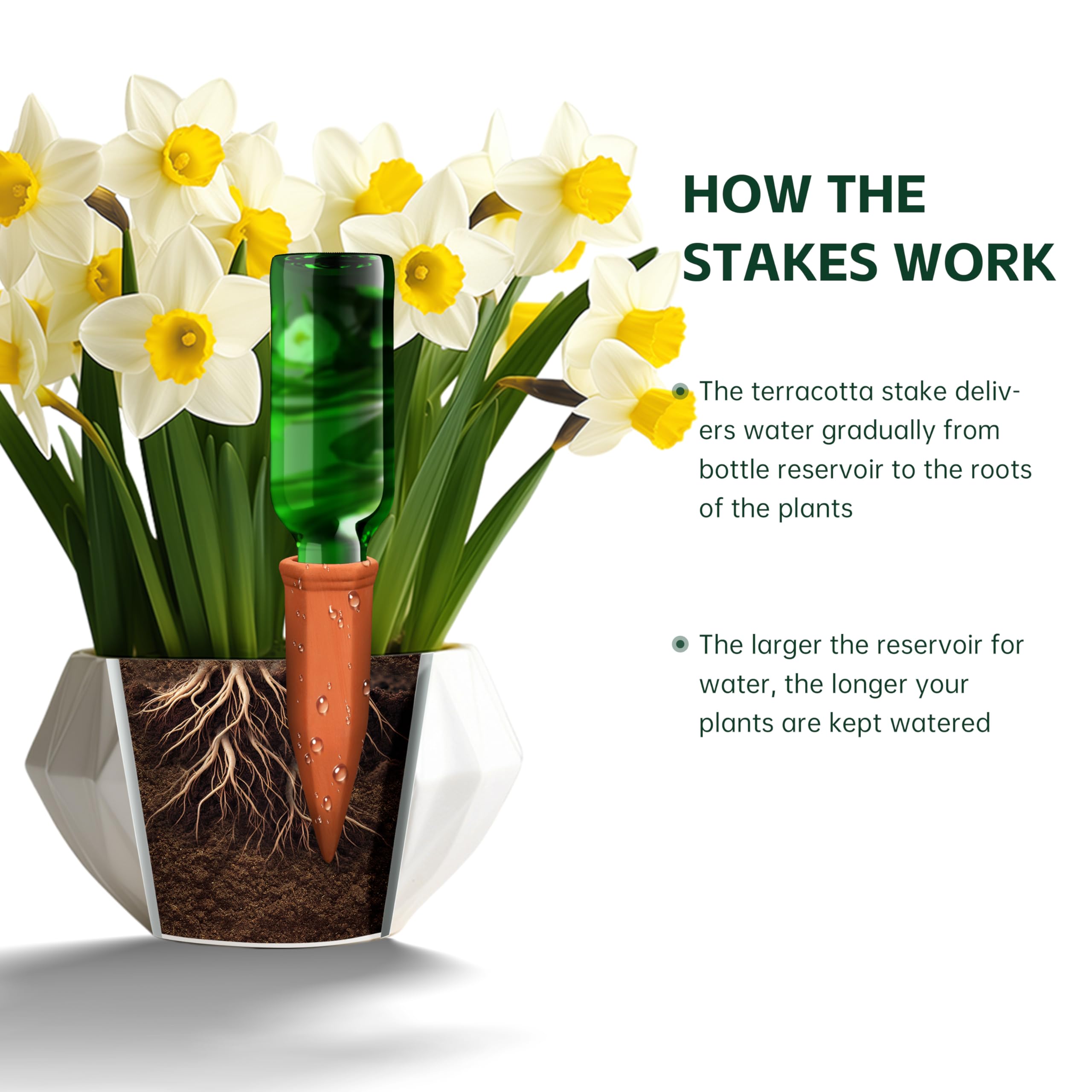 Soilagua self-watering-planter-insert keeps plant roots hydrated during busy days.