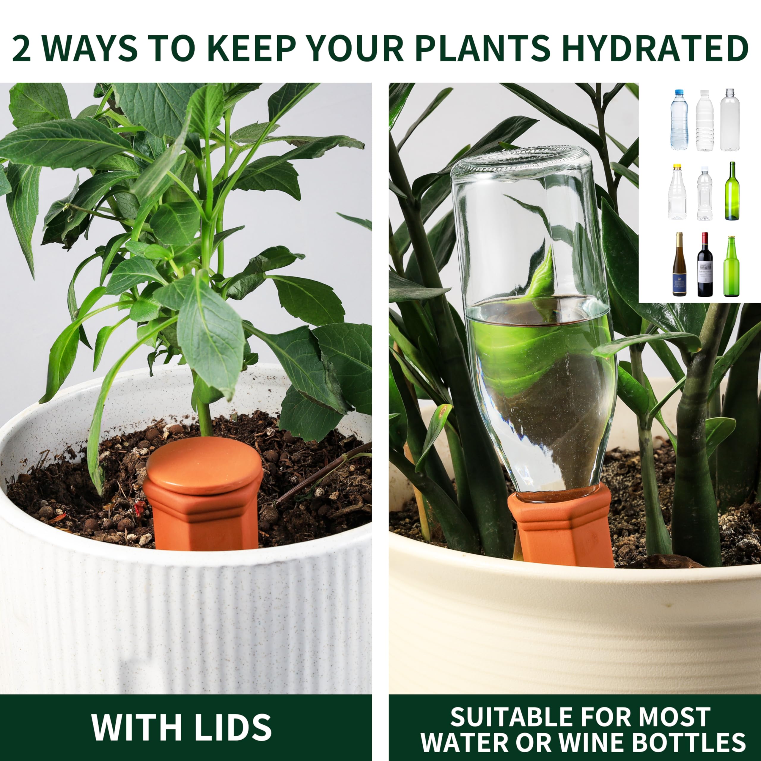 Soilagua spike in plant pot delivering root-focused moisture for healthy growth