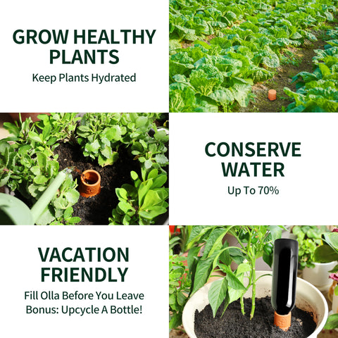 Soilagua terracotta pot hydration system promotes balanced watering and weed reduction.